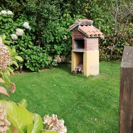 Avellanos Casa 2 Celis